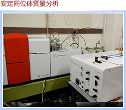 安定同位体質量分析装置